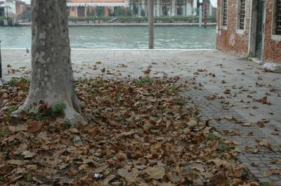 Automne à Venise Italie