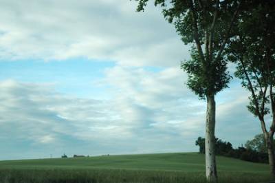 Paysage de l'Ain