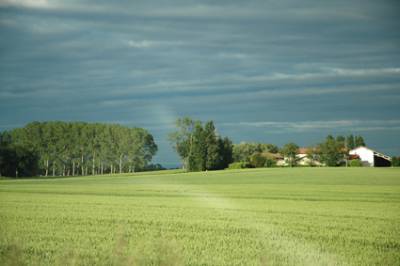Paysage des Dombes - Ain